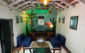 The Lazy Palm Shack